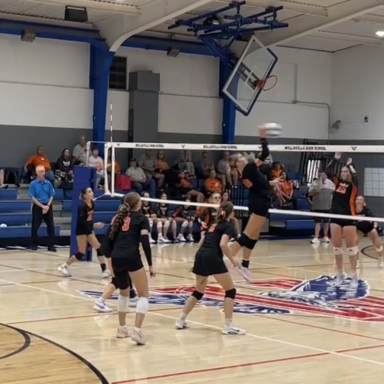 HSVB
