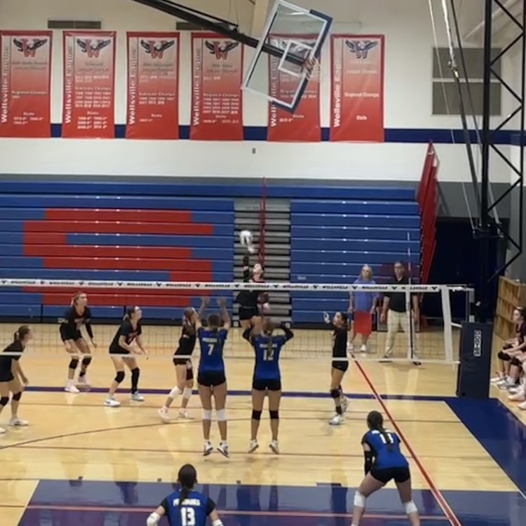HSVB