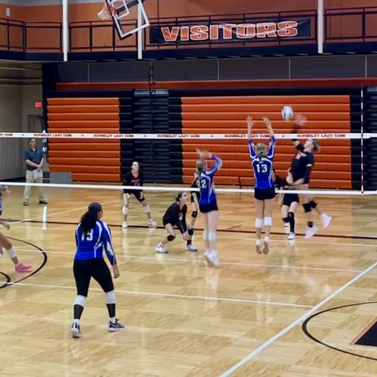HSVB