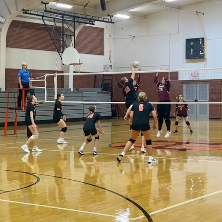 vb