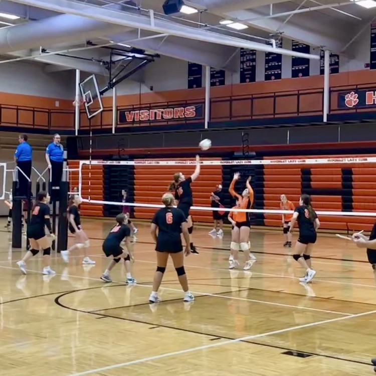HSVB