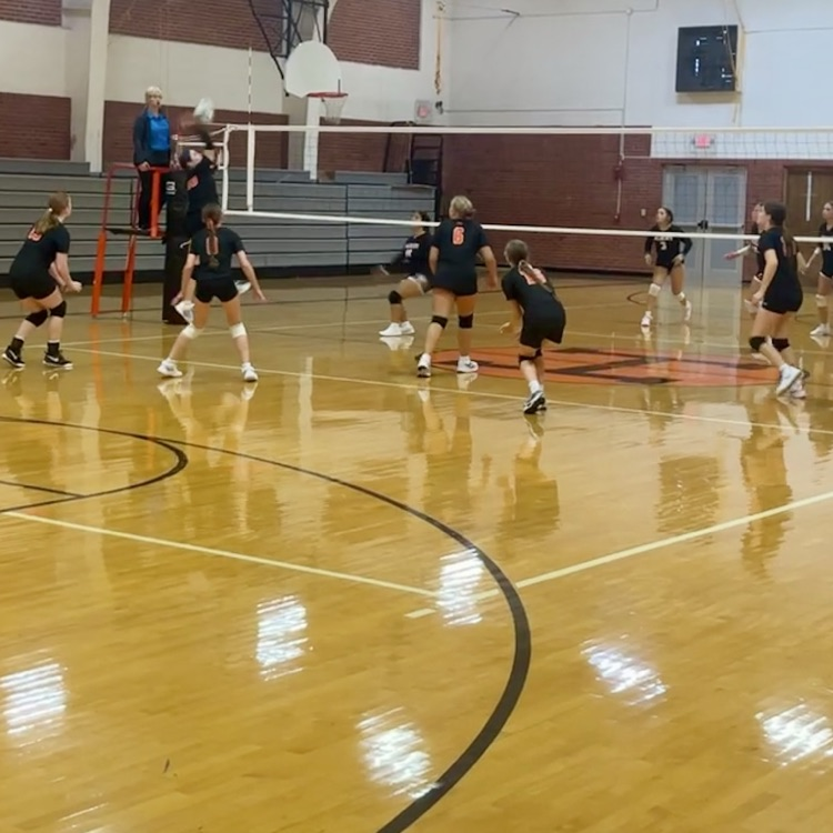 HSVB