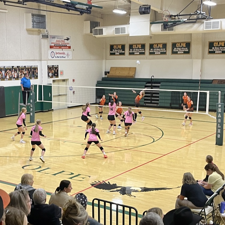 vb