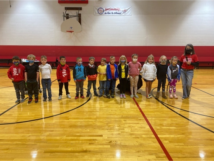 Kindergarten Book Reports