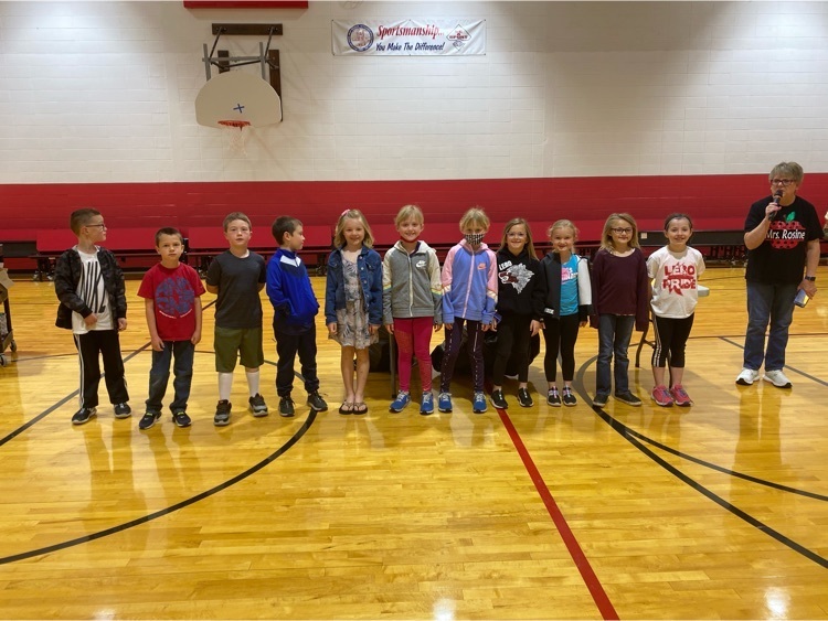 First Grade Book Reports