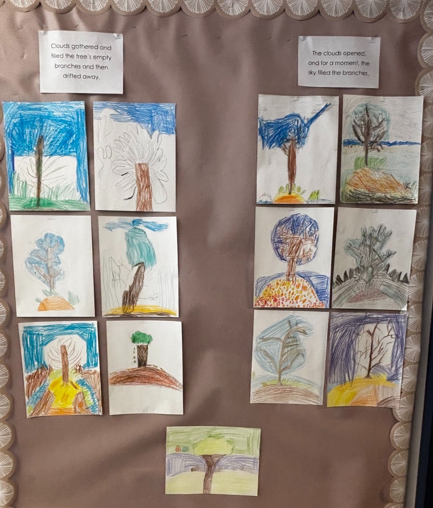 Wit and Wisdom Second Grade