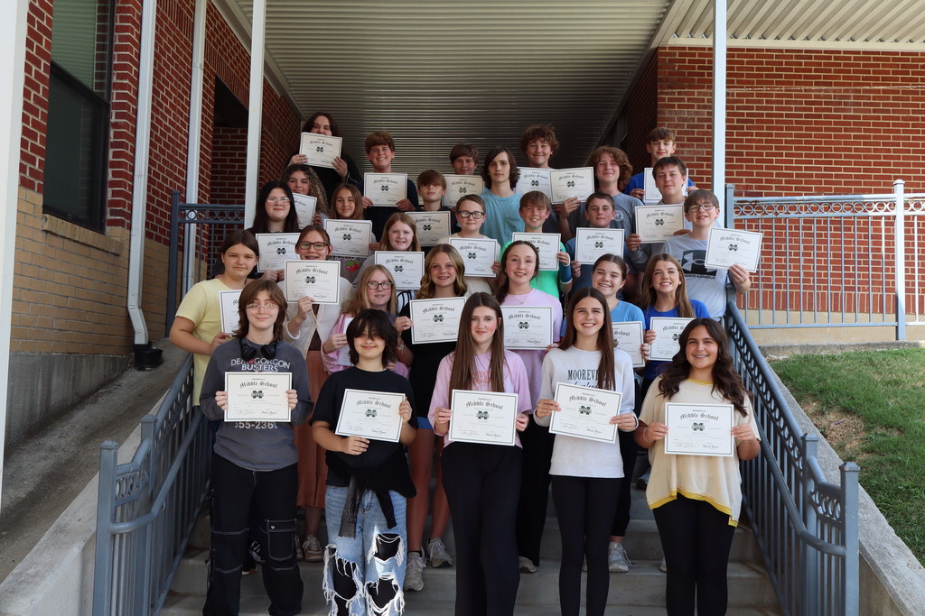 mms perfect score