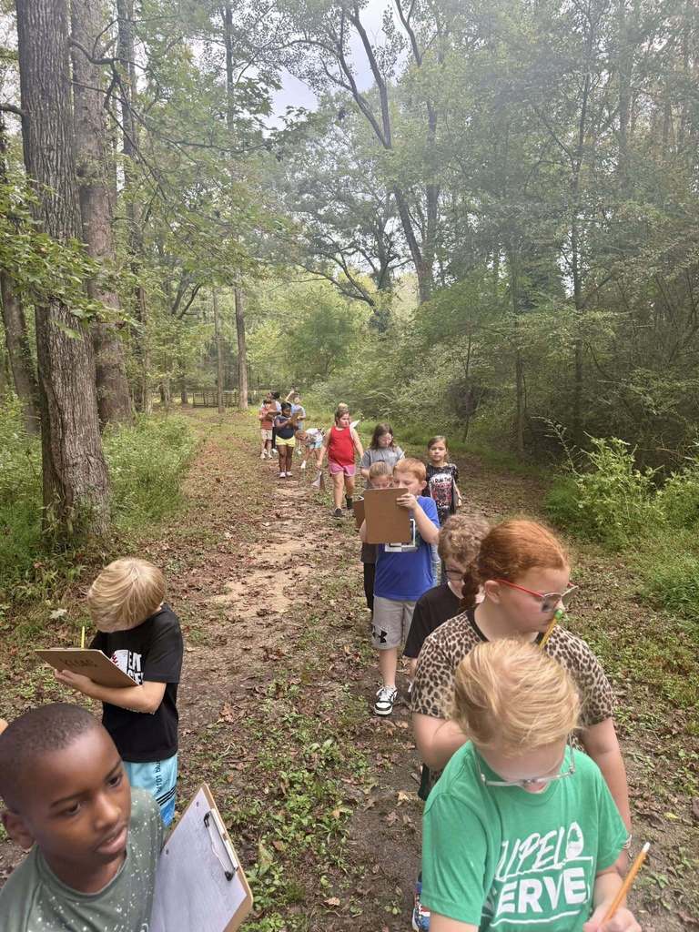 saltillo elementary