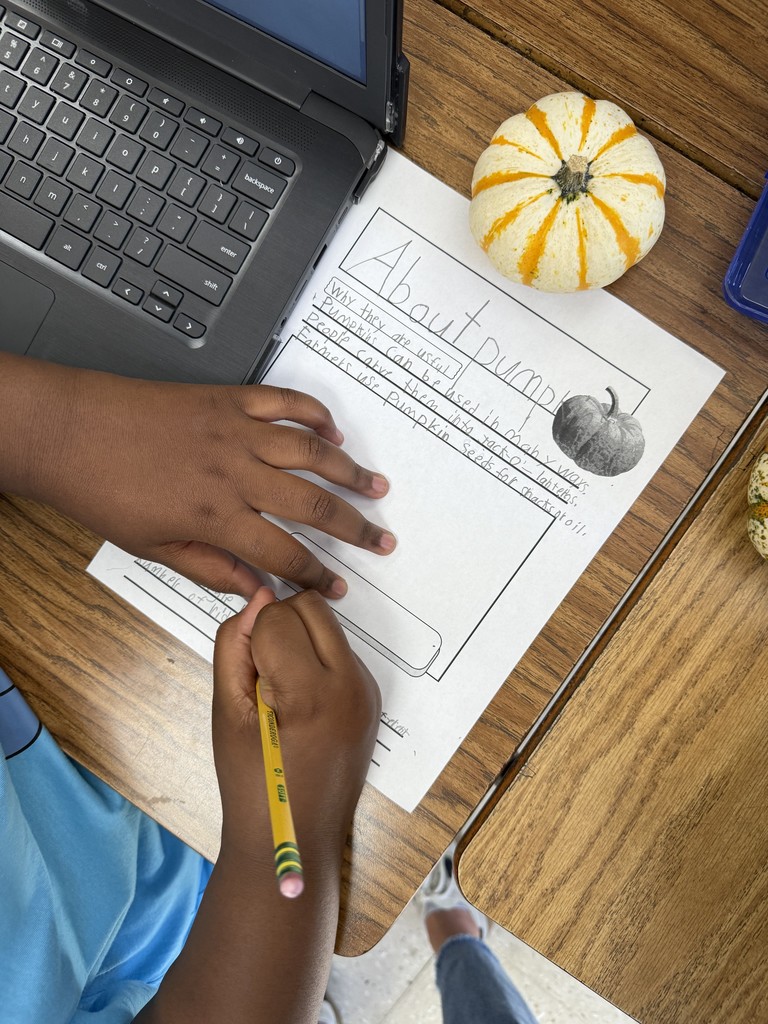 Saltillo Elementary