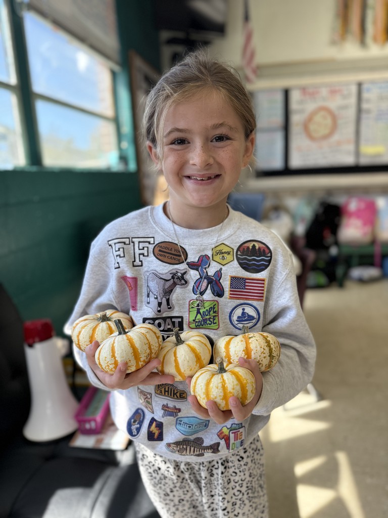 Saltillo Elementary