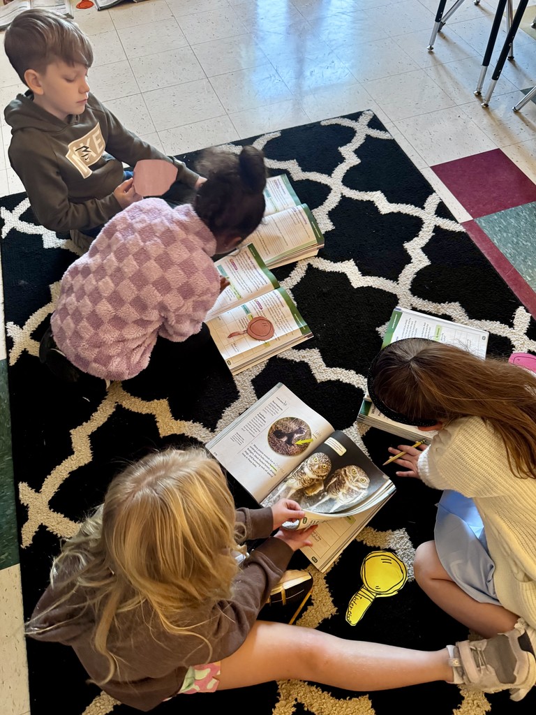 Saltillo Primary School