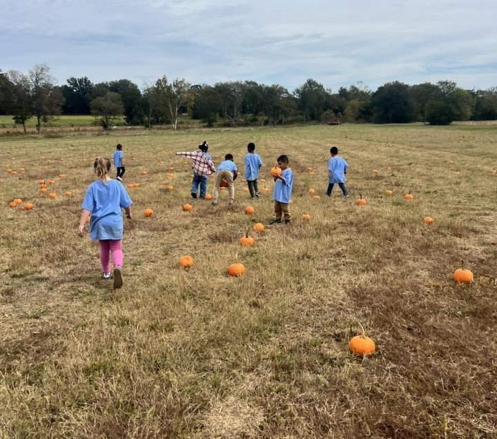 Shannon Primary School