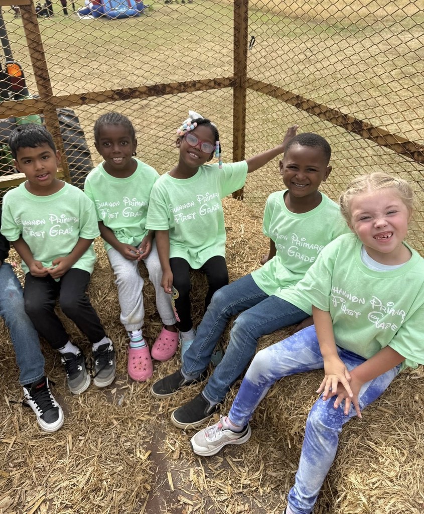 Shannon Primary School