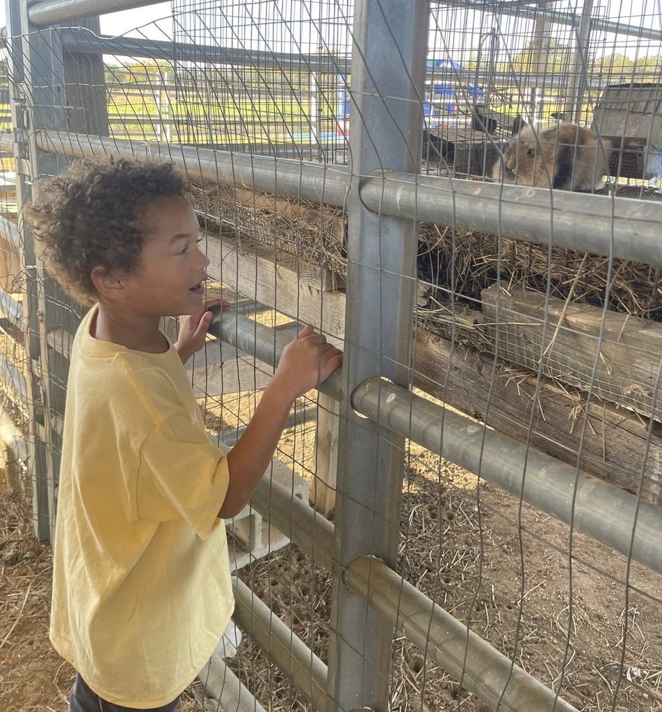 Shannon Primary School