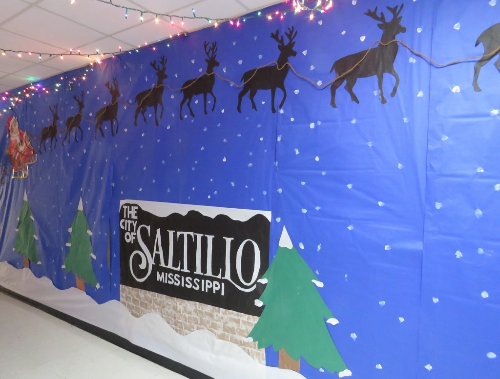 Saltillo Primary School