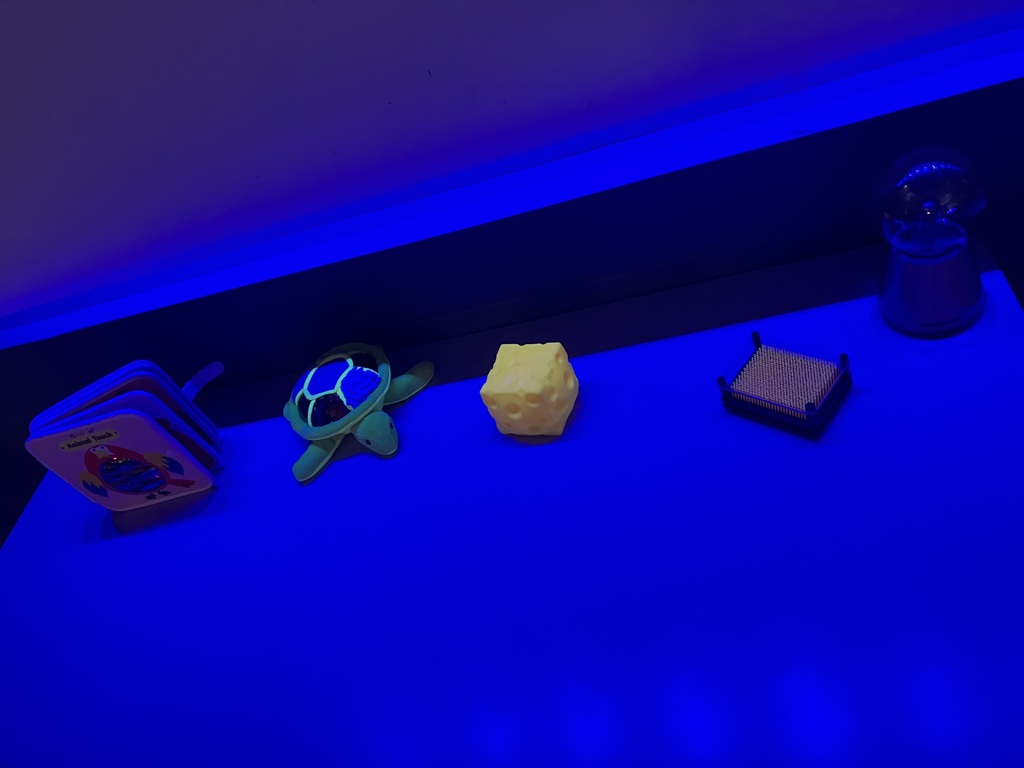 Shannon Primary School