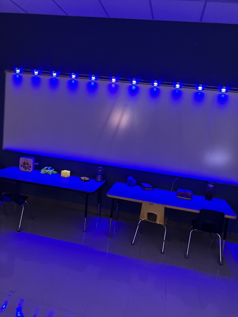 Shannon Primary School