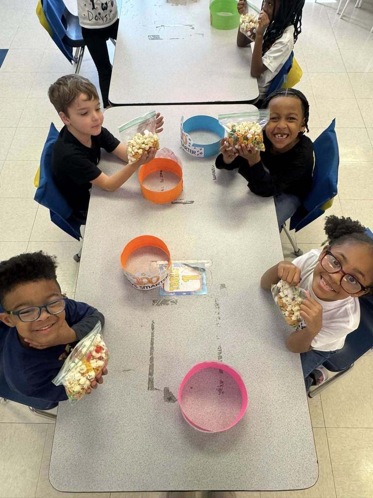 Shannon Primary School