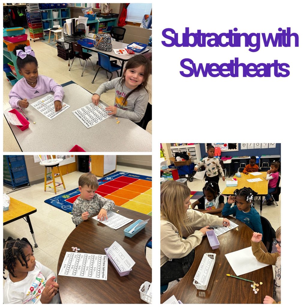 Shannon Primary School