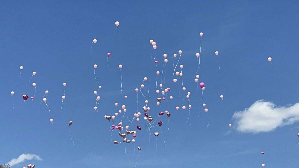 Shannon Primary School