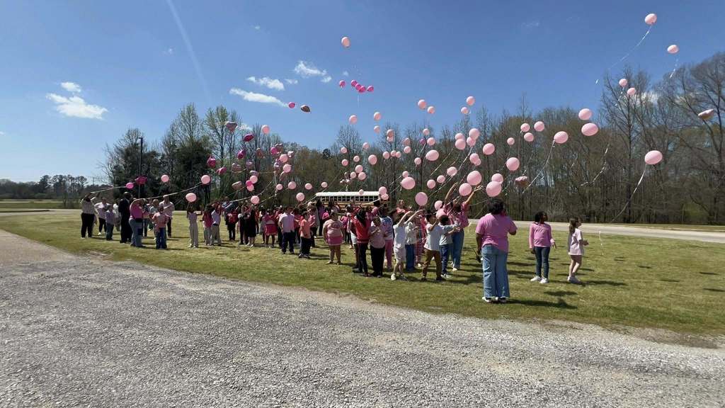 Shannon Primary School