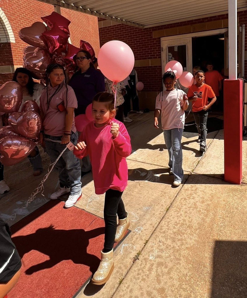 Shannon Primary School