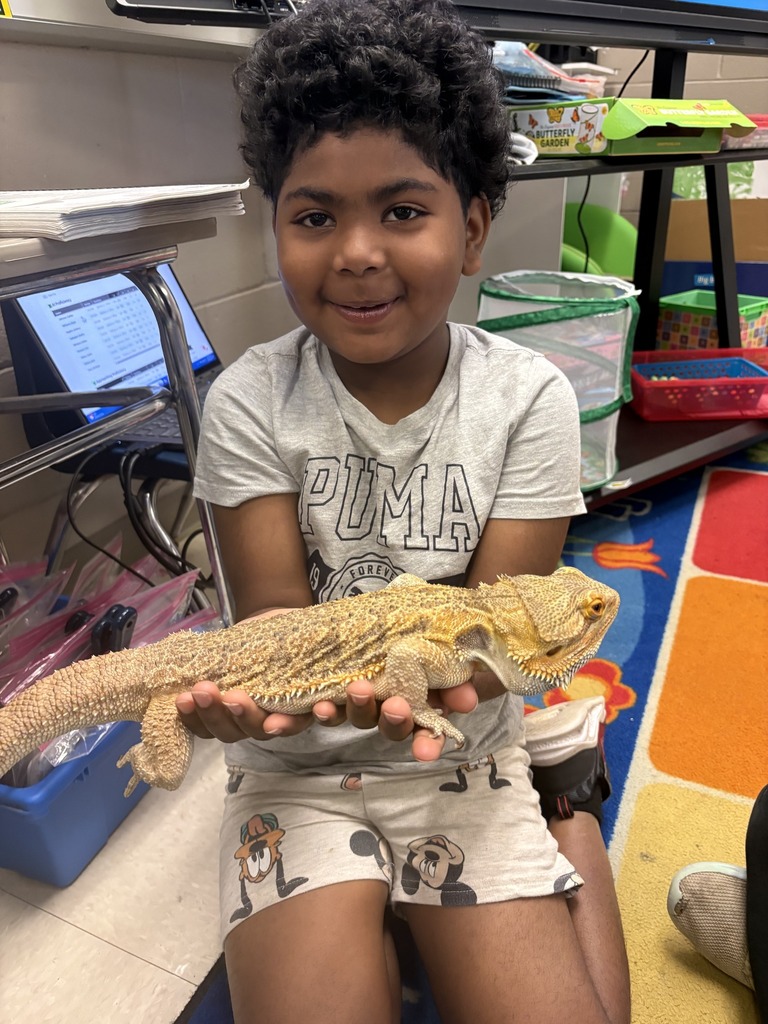 Shannon Primary School