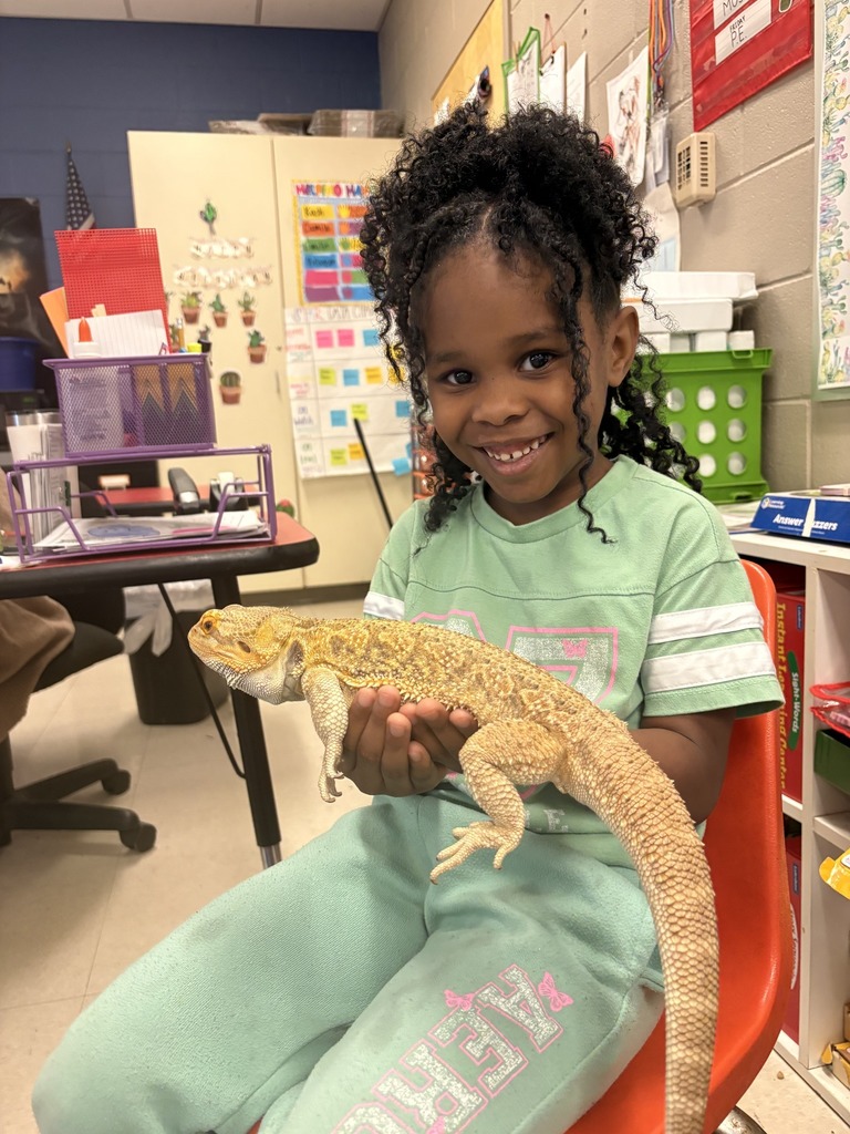 Shannon Primary School