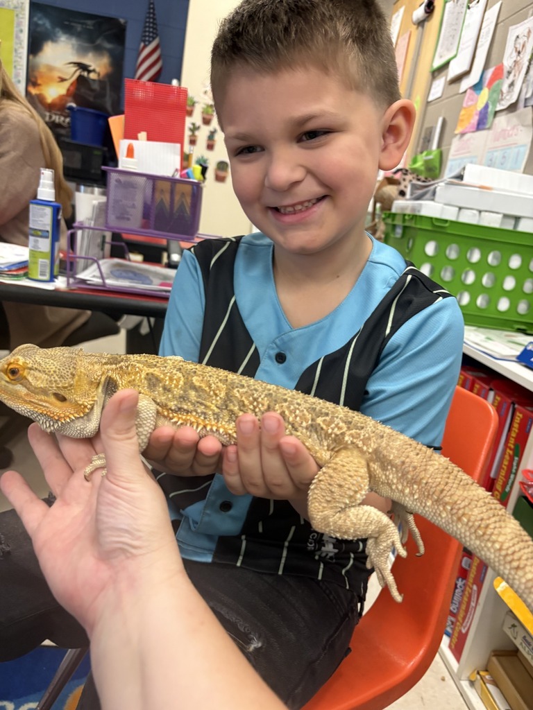 Shannon Primary School