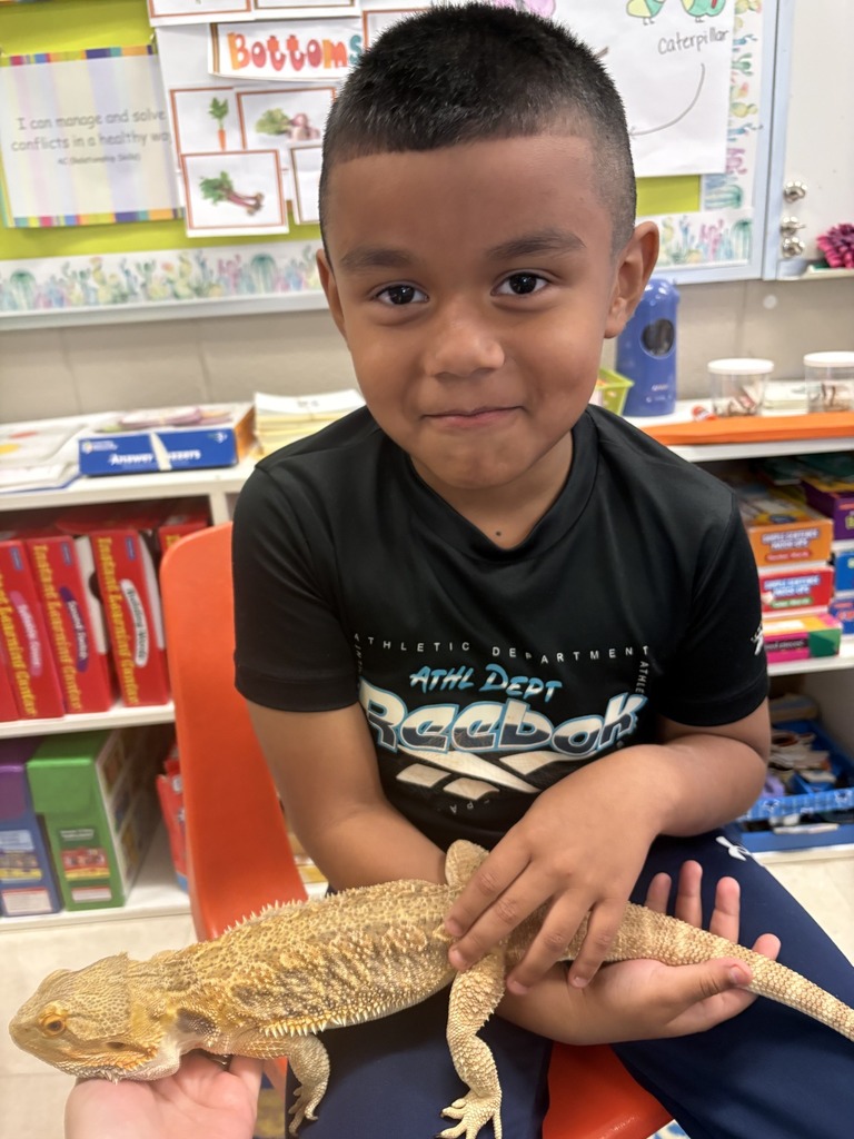 Shannon Primary School