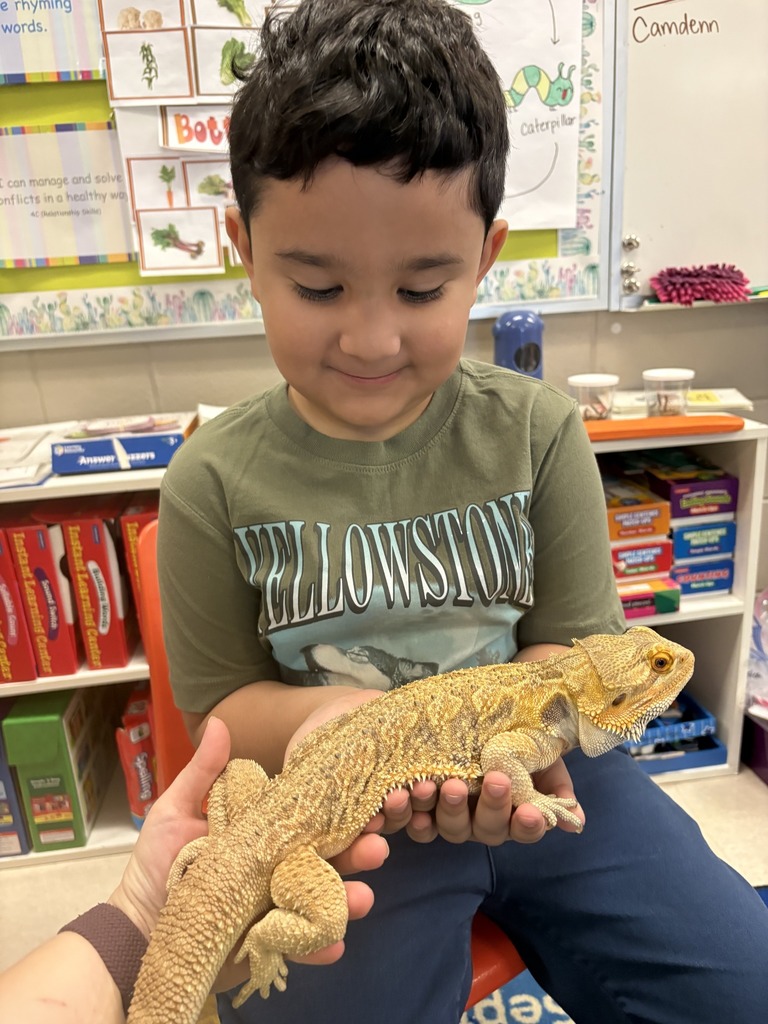 Shannon Primary School