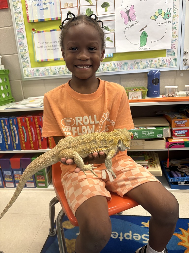 Shannon Primary School