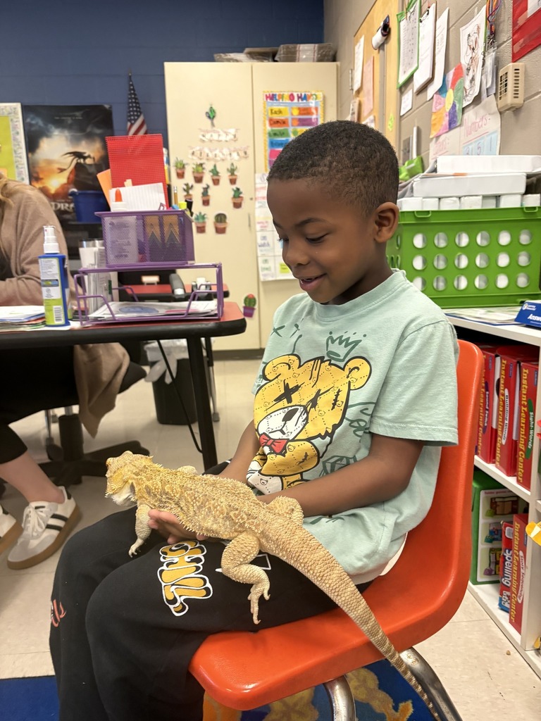 Shannon Primary School