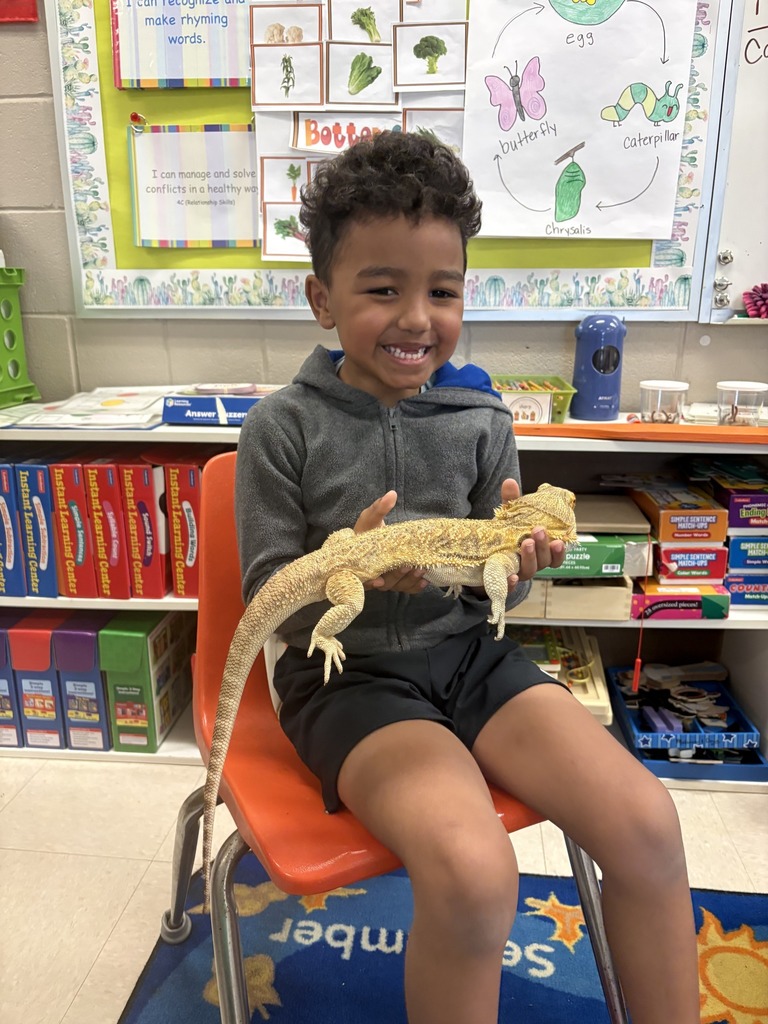 Shannon Primary School