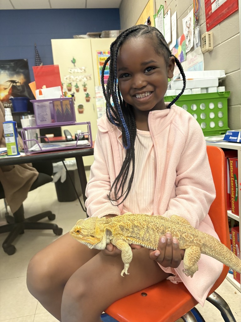 Shannon Primary School