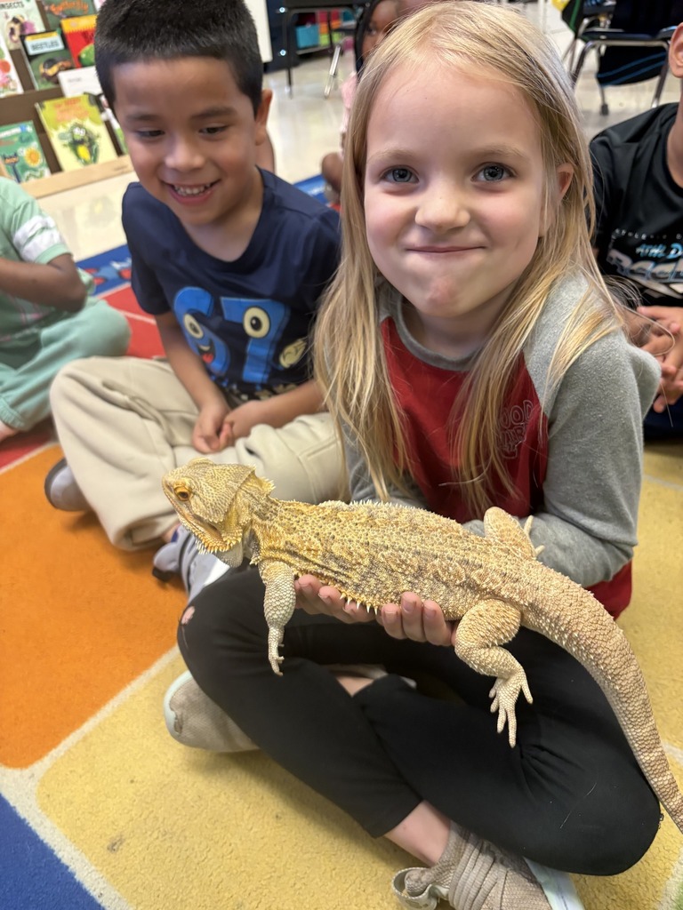 Shannon Primary School