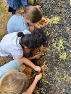 Saltillo Primary School