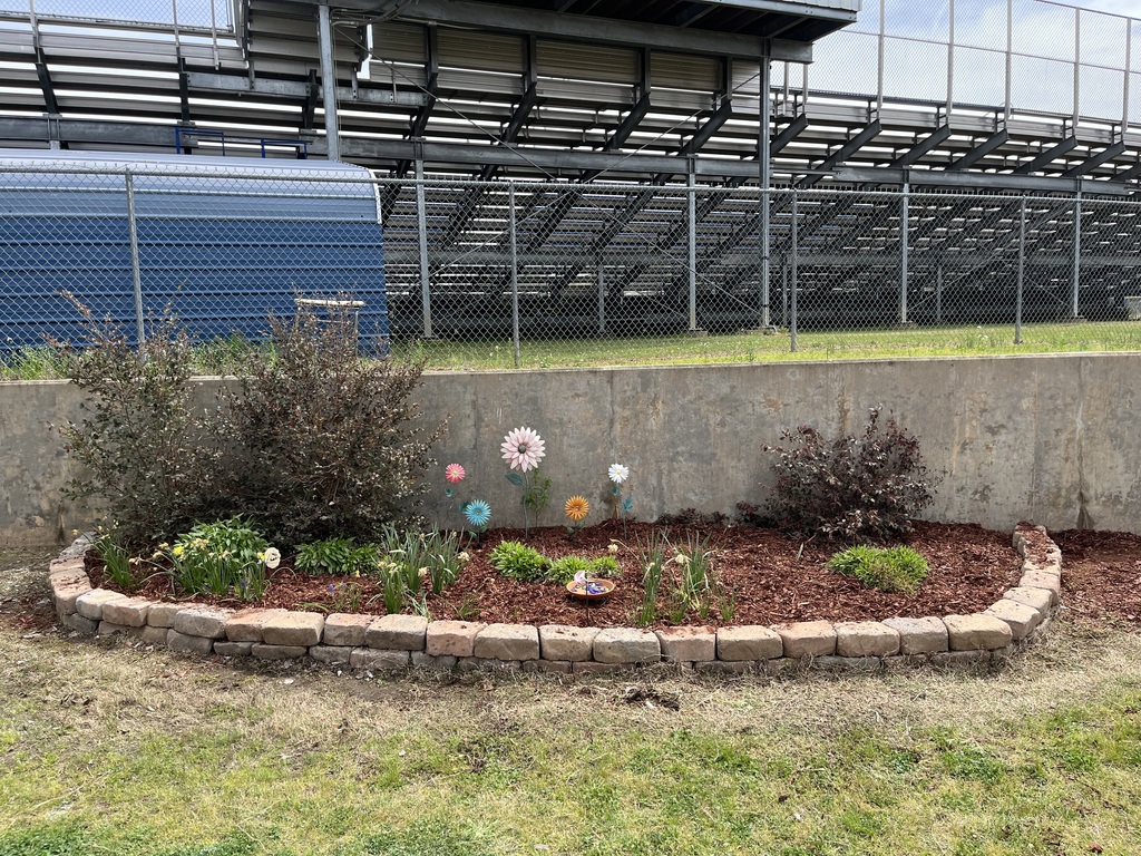 Saltillo Primary School