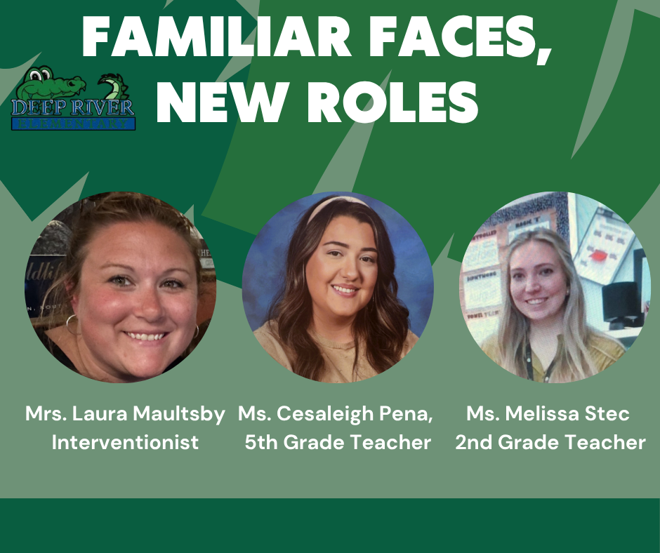 new roles