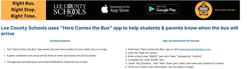 bus