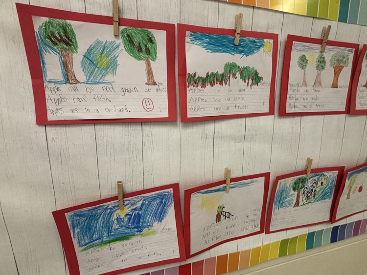 First Grade