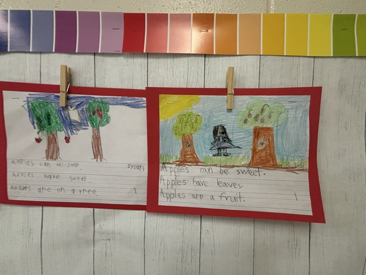First Grade