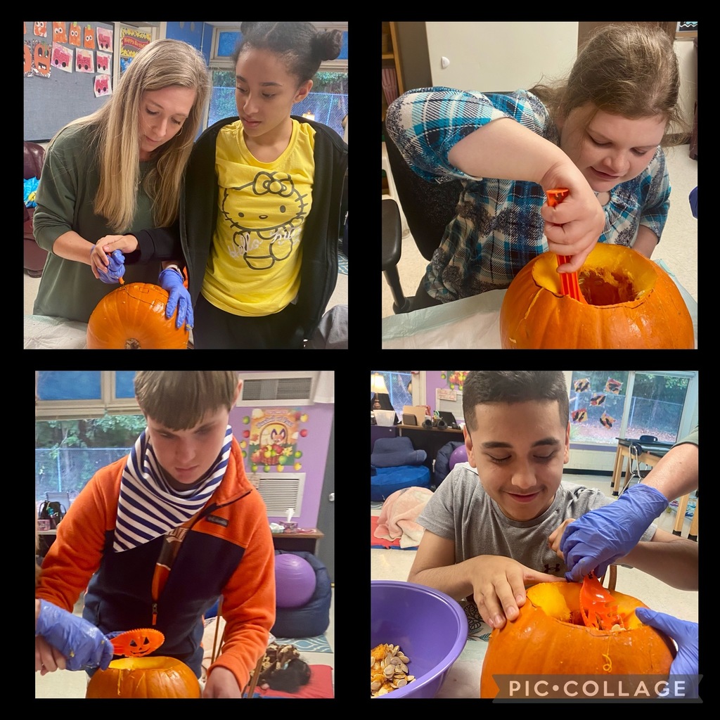 Mrs. Hendrick's Class