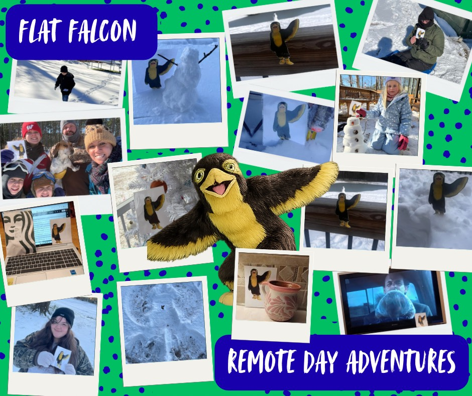 Flat Falcon Adventures