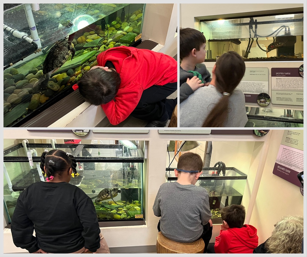 Sanlee Park Field Trip