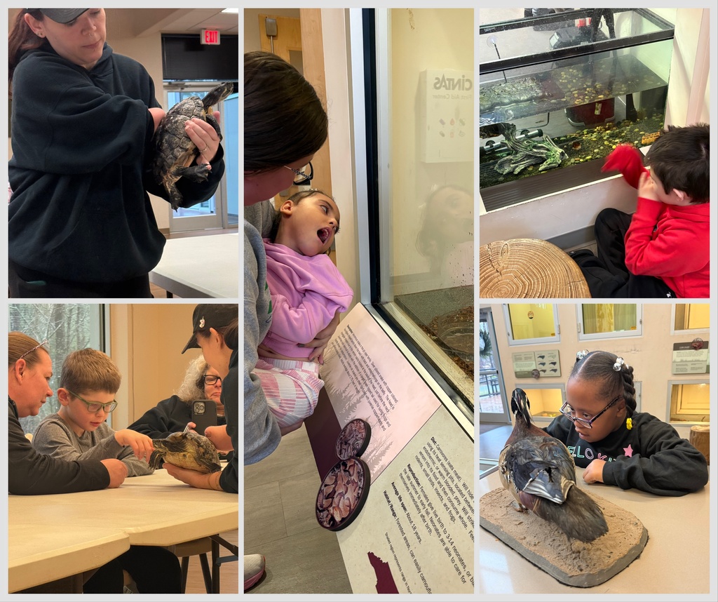 Sanlee Park Field Trip