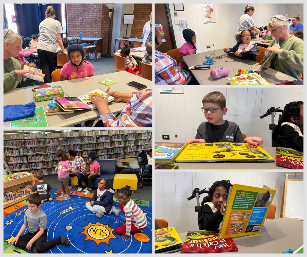 Elementary Library FT