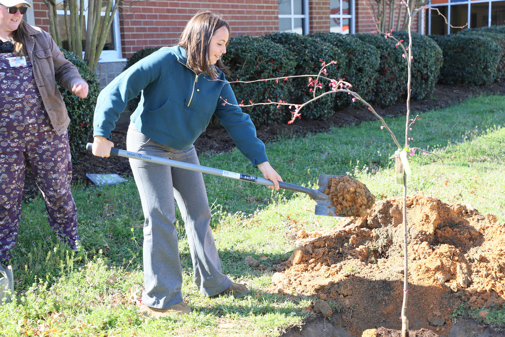 RedBud Planting at LCS