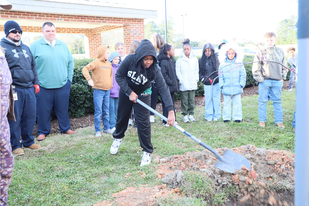 RedBud Planting at LCS