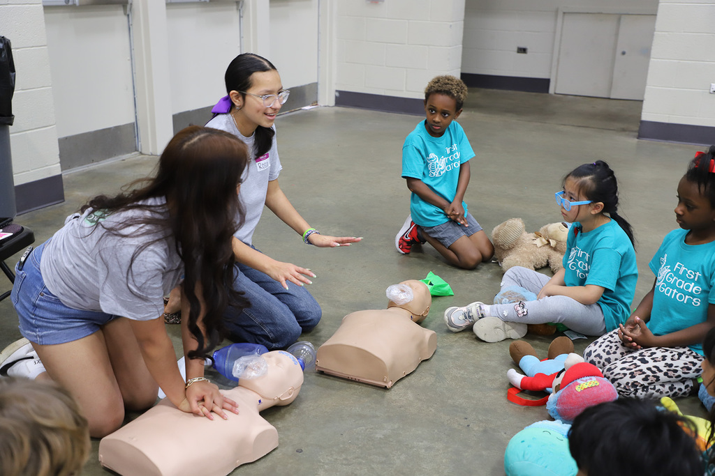 Teddy Bear Fair 2026 Photos